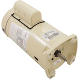 Pentair 355024S 1.5 HP single speed square flange pool and spa pump motor in almond