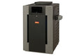 Raypak Analog Natural Gas Pool Heater 406k BTU Millivolt Standing | 9195