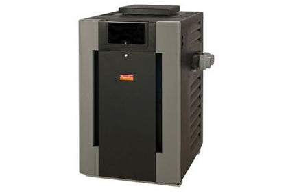 Raypak Digital Low NOx Natural Gas Heater 009991 | 9241