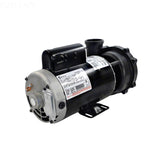 Waterway 3722021-13 Executive spa pump, wet end and motor