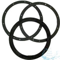 Pentair 79200700 standard 10 hole gasket set with double wall gasket for large stainless steel light niches