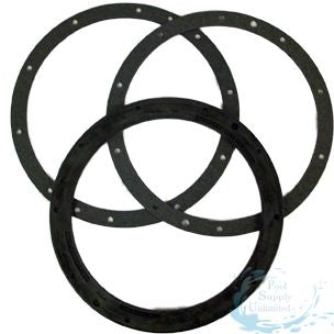 Pentair 79200700 standard 10 hole gasket set with double wall gasket for large stainless steel light niches