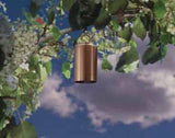 FX Luminaire FX Luminaire ViteLume 20 Watt Copper VL-20-CU | 222920