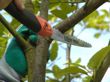 Bahco Foldable Pruning 7.5 inch Saw Blade 396-JS