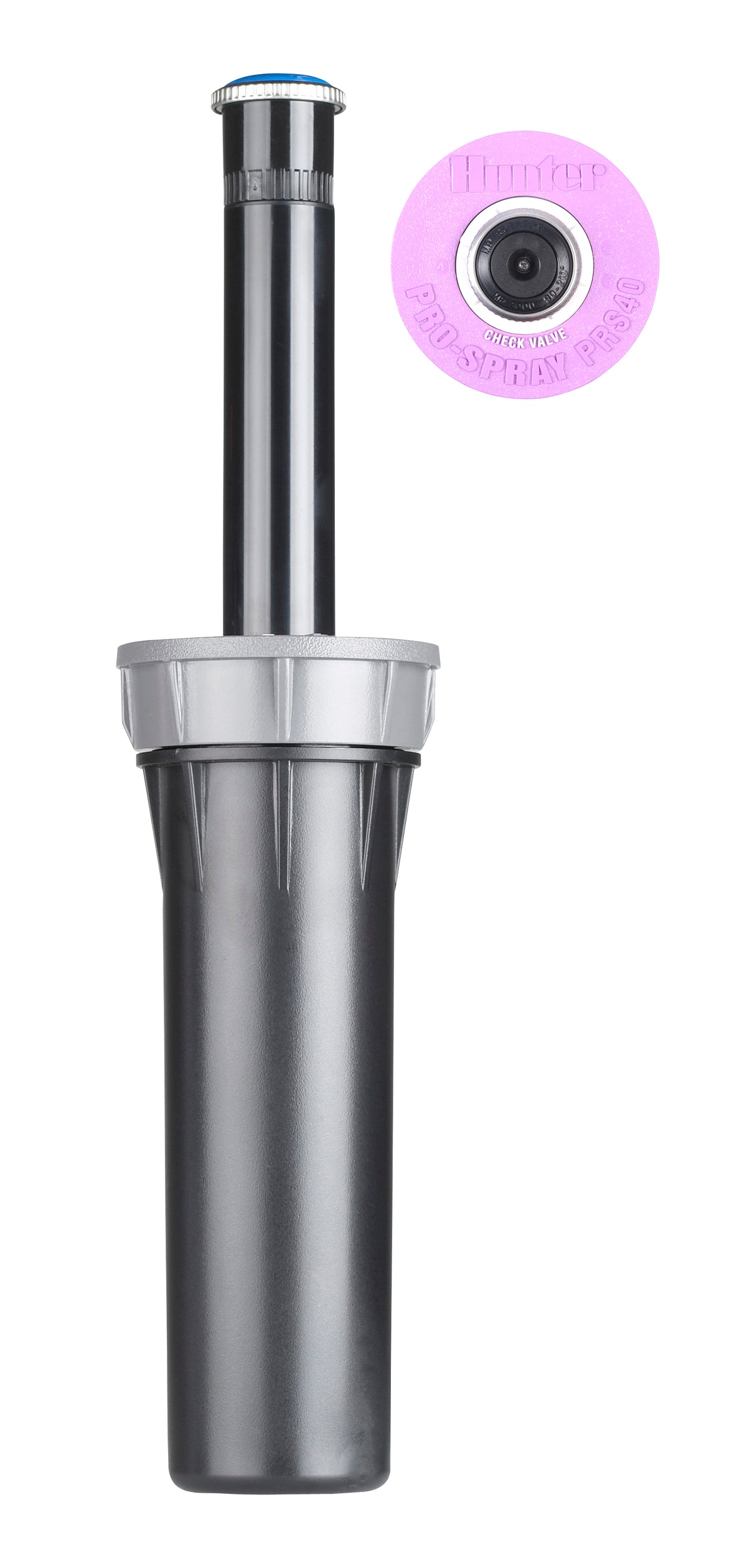 Hunter 4" Pro-Spray 40 PSI With Check Valve & Floguard With Reclaimed Body Cap