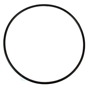 Hayward Filter Head O-Ring | CX900F