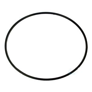 Hayward Pro-Grid-SwimClear Filter OEM Metal Reinforced Tank O-Ring | DEX2422Z2