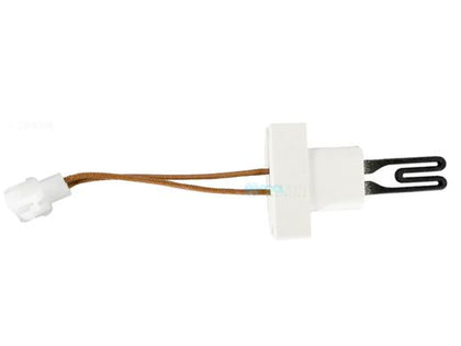 Hayward IGNITOR 120V H-SERIES | IDXLIGN1931