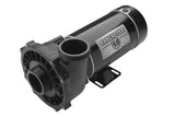 Waterway Executive 48 Frame 2-Speed 3HP 230V | 3421221-1A