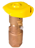 Rain Bird 44LRC, 1" Quick Coupling Brass Valve with Locking Rubber Cover