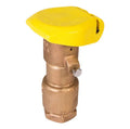 Rain Bird 44RC 1" Quick Coupling Brass Valve with Rubber Cover
