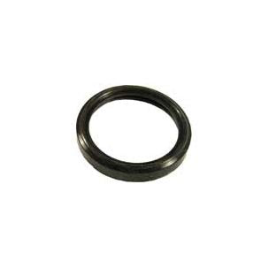 Hayward Gasket F/Lens Astrolite II SPX0590G