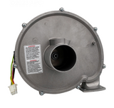 Pentair 460743 combustion blower, top view