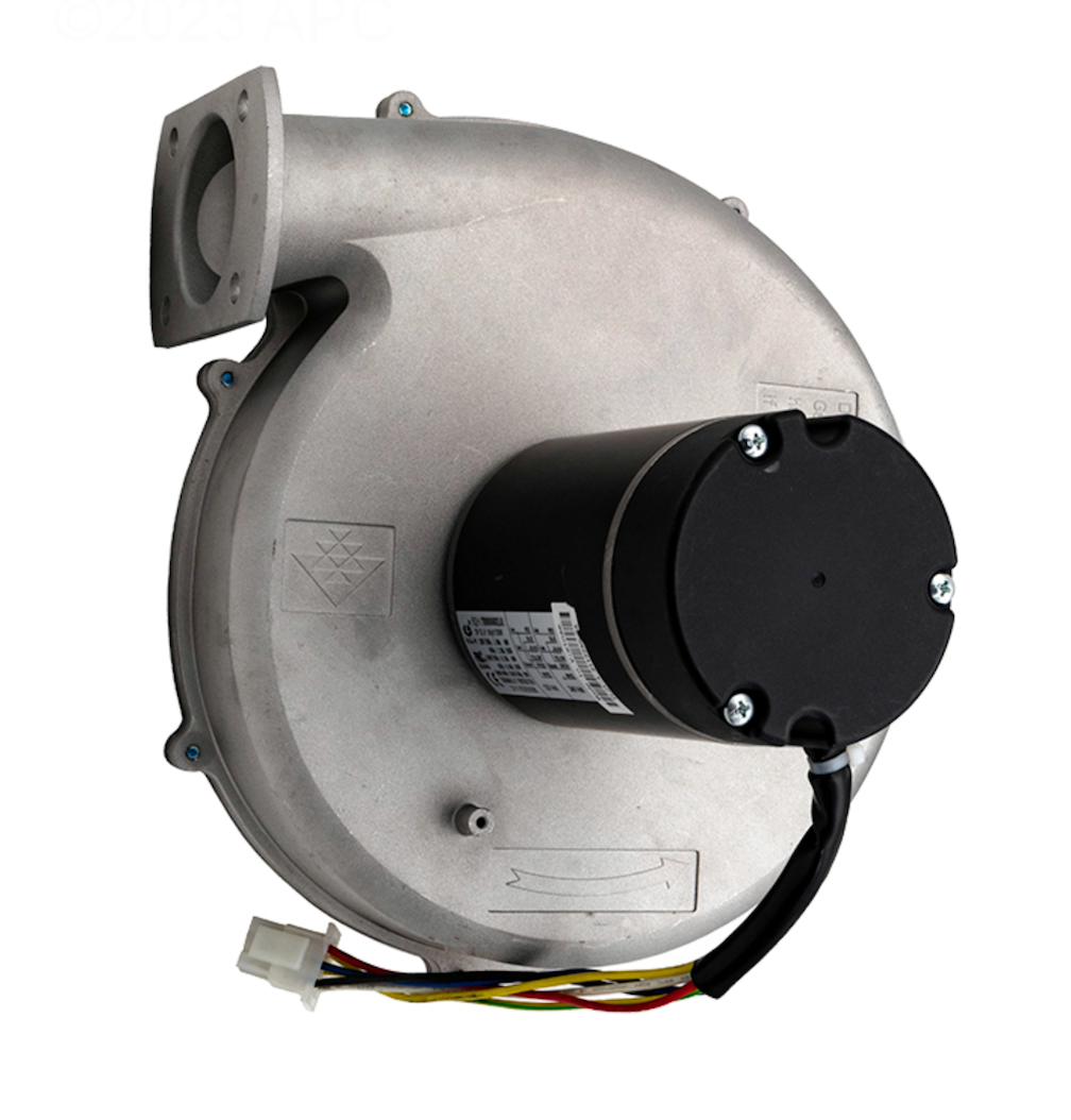 Pentair 460743 combustion blower, wiring connector view