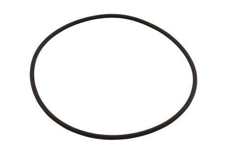 Fluidra Multipor Valve Lid O-Ring | 7231400040