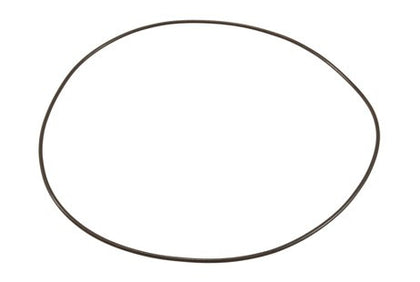 Astral Fluidra O-Ring for Motor Clamp 77318R38026 | 7731838026