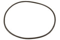 Astral Fluidra Lid O-Ring 1600 Series | 7731329035