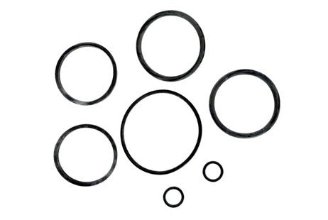 Fluidra 2" Ball Valve O-Ring Kit | 02458R0129