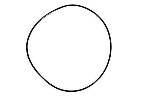 Waterco O-Ring Adapter/Filter | 00B7000