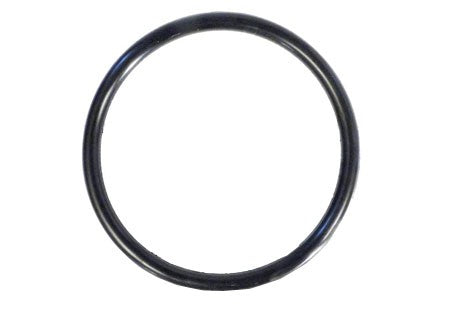 Waterco O-Ring HRV Sand Filter | 00B7027