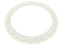 Pentair SWIVEL BEARING WASHER | K12087