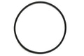 Aqua Ultraviolet Filter Part O-Ring | A50055