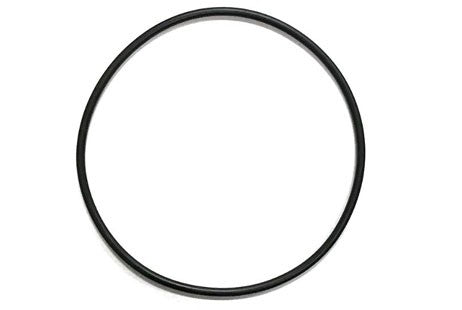 Aqua Ultraviolet Filter Part O-Ring | A50055