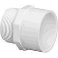 Lasco .5" Schedule 40 PVC Male Adapter SxMIPT | 436-005