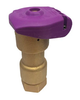 Rain Bird 5NP 1" Non-Potable Quick Coupling Brass Valve with Purple Locking Cover