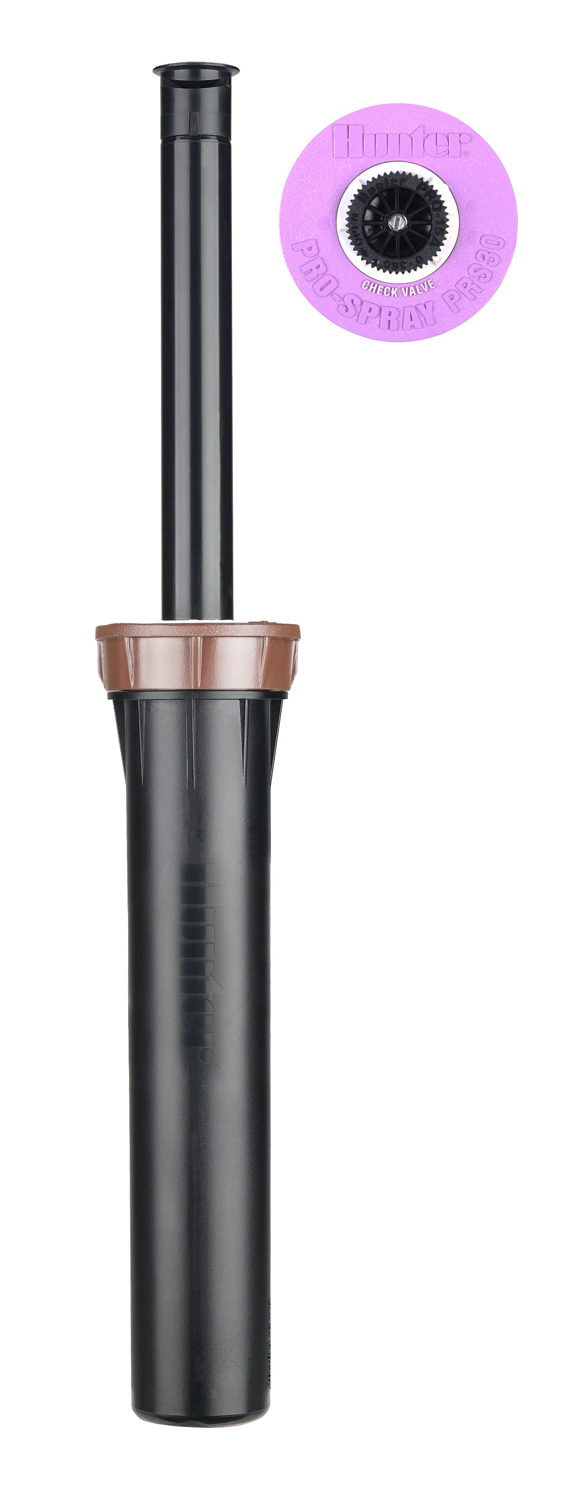 Hunter PROS-06-PRS30-CV-R; 6" Pro-Spray 30 PSI Check Valve With Reclaimed Body Cap
