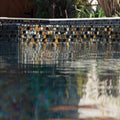 NPT National Pool Tile Oceanscapes 1x1 Glass | Blackies | OCN-BLACKIES