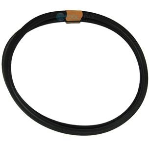 Optimus Pool Products L.l.c. 01411800 ANTHONY LENS GASKET | 3510-06