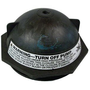 Pentair CLOSURE 6" BUTTRESS THRD BLK | 154570