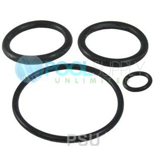 PENTAIR 263054 O-RING KIT REPL PUSH PULL VLV