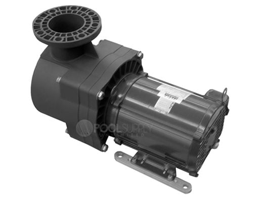 Pentair EQW 300 Waterfall Plastic Pool Pump without Strainer 3HP | 6 340014