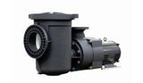 Pentair Waterfall 5HP Plastic Pool Pump with Strainer - 6" Suct | 340029