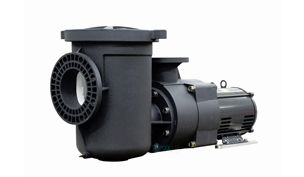 Pentair EQ 1000 Commercial Plastic Pool Pump with Strainer | 6" Suction x 4" Discharge | Three-Phase | 340034