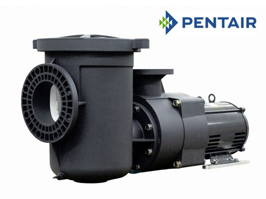 Pentair EQ 1500 Commercial Plastic Pool Pump with Strainer 15HP | 6" Suction x 4" Discharge | Three-Phase | 340035