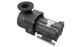 Pentair EQ SERIES COMM PUMP EQK1500 3PH WO/POT | 340151