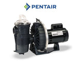Pentair Waterfall 150GPM 115V 230V Specialty Pump AFP-150 | 340352