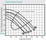 Pentair 1 HP Bronze CF,Low SERV.FACTOR | CFAE-79DL