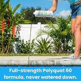 Pool Season Polyquat 60 Concentrate Algaecide for Inground and Above Ground Pools, 32 oz, 47245960