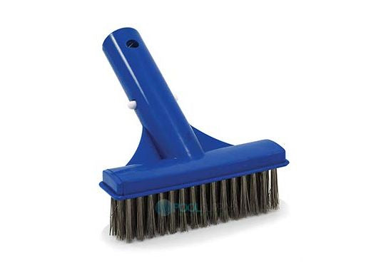 Pool Pals 5" Economy Algae Brush SS Bristle | BR1005S