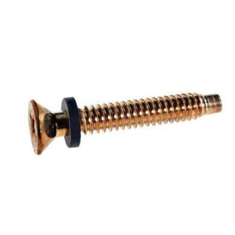 Pentair pilot screw w/ washer - brass - 79104800