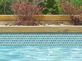 NPT National Pool Tile Mini Koyn 1 1-8" x1 1-8" | MK1331