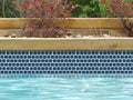 NPT National Pool Tile Mini Koyn 1 1/8" x1 1/8" Series Pool Ti | MK255