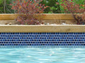 NPT National Pool Tile Mini Koyn 1.0.3937 x1.0.3937 | MK560