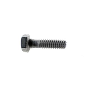 Pentair Stainless Steel Screw 1/4"-20x1" Hex Head | 2-Required | P26948 071657 071657Z