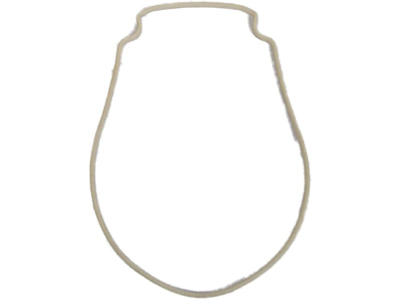 Pentair almond gasket for seal plate
