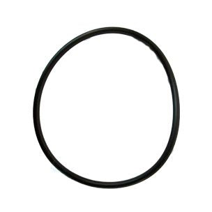 Pentair C-Series Pump C-70 Flange O-Ring | 071423 P24050